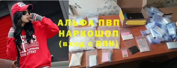 индика Дмитров
