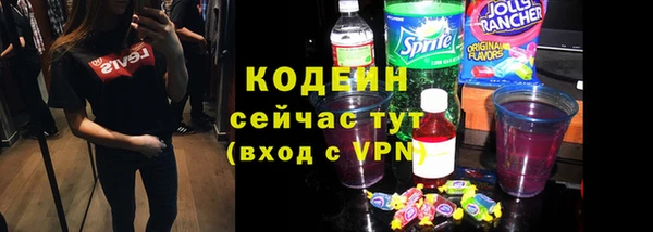 индика Дмитров