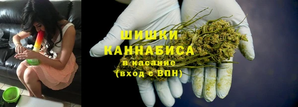 индика Дмитров