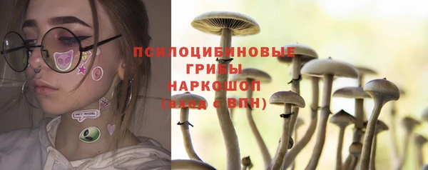 индика Дмитров