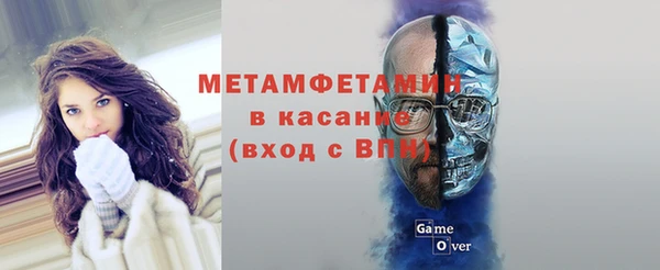 индика Дмитров