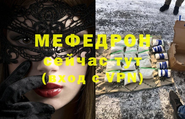 индика Дмитров