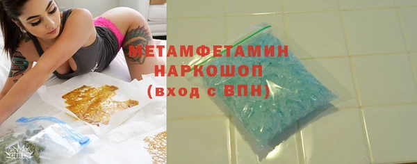 индика Дмитров