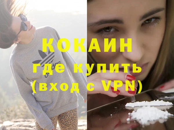 индика Дмитров