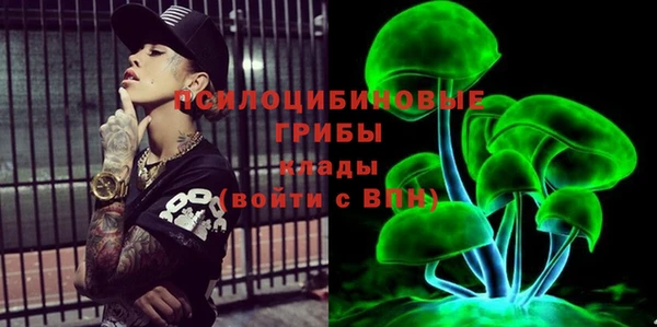 индика Дмитров
