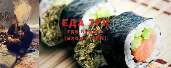 индика Дмитров