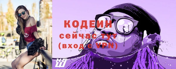 индика Дмитров