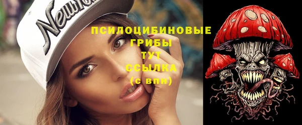 индика Дмитров