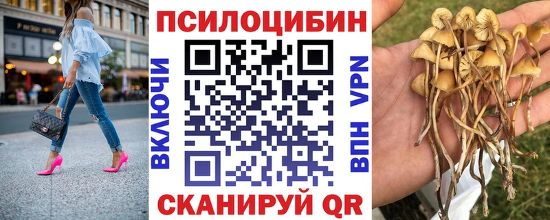 Купить Далматово Псилоцибиновые грибы MAGIC MUSHROOMS