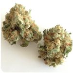 Шишки "White Widow"  (Белая вдова)  Гидропоника -  Бошка VHQ в Далматово
